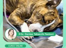 [E-book dicas valiosa Veterinária ]