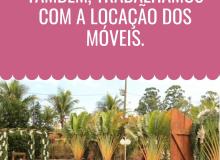 [Decoração de Casamentos em Maringá]